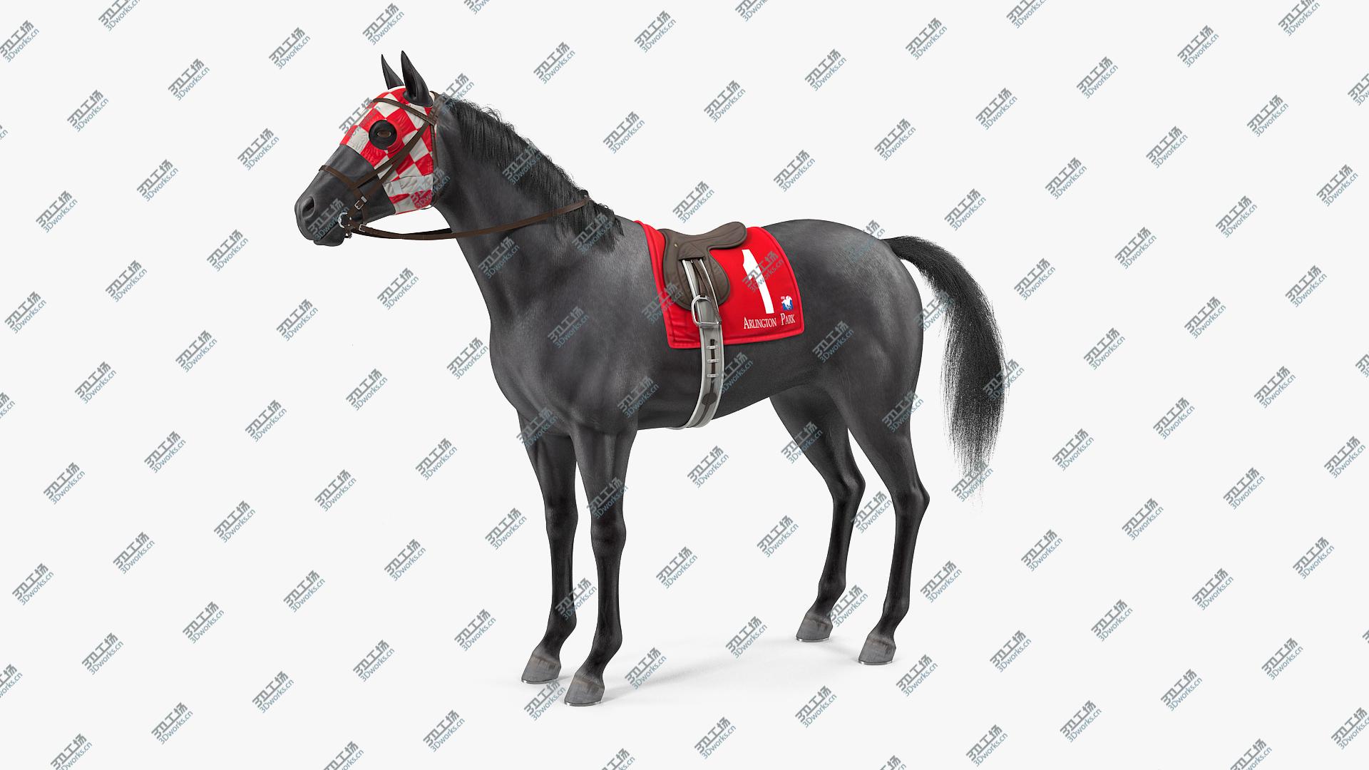 images/goods_img/20210313/Black Racehorse Fur Rigged 3D model/3.jpg